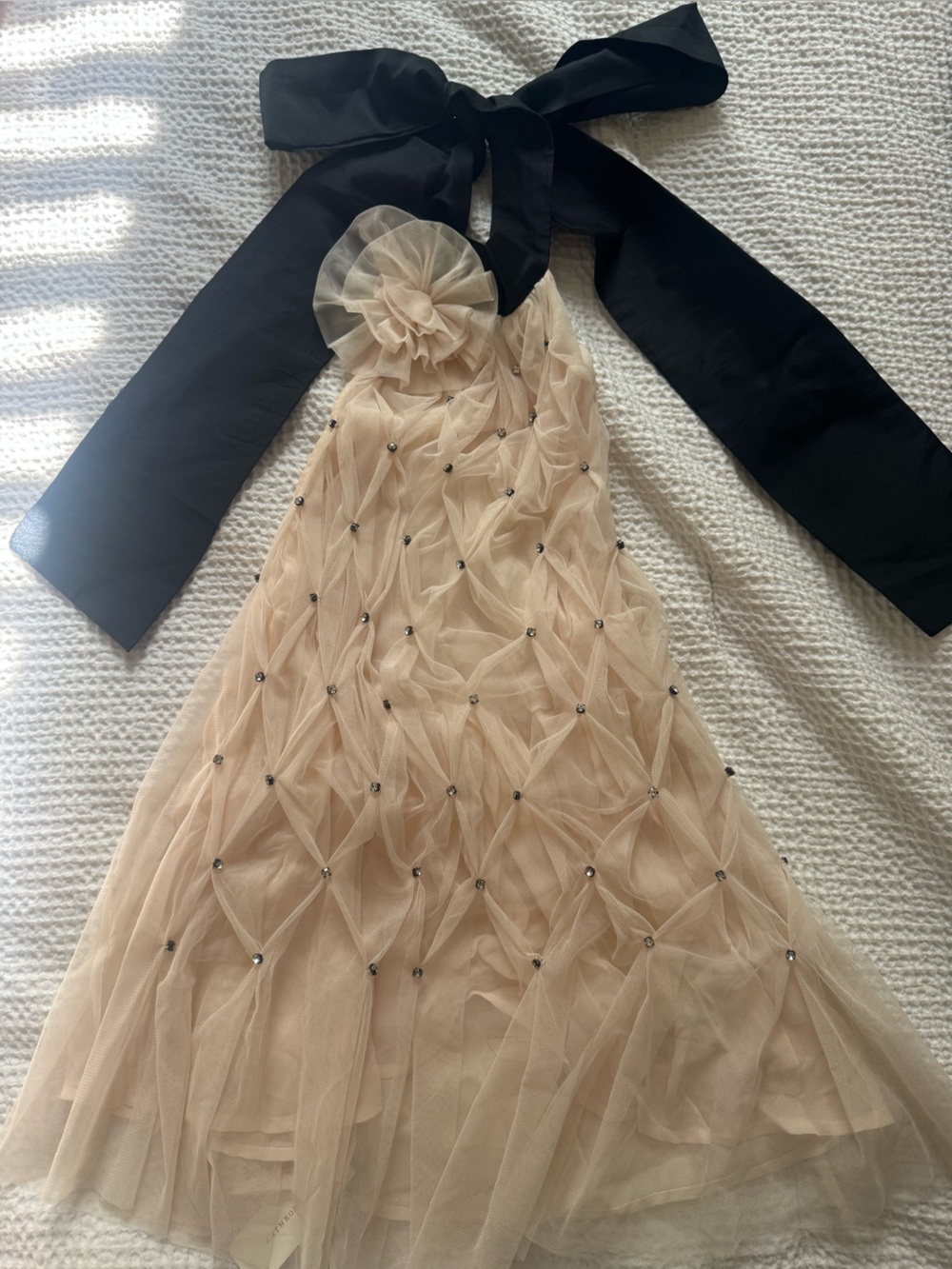 Elegant Beige Tulle Dress with Black Sash